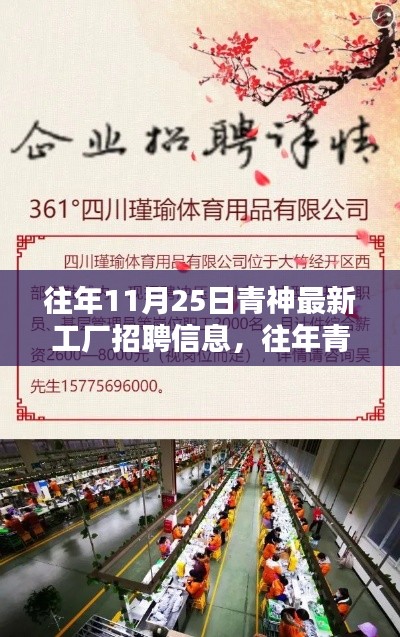 往年青神工厂招聘信息概览,聚焦最新工厂职位与要点解析