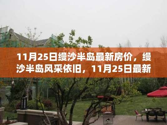 缦沙半岛风采依旧,最新房价揭晓,11月25日房价动态