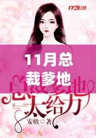 11月总裁爹地超给力,程漓月最新章节深度解析与标题