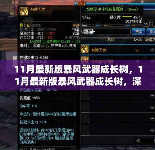 深度解析与观点阐述,最新暴风武器成长树揭秘(11月最新版)