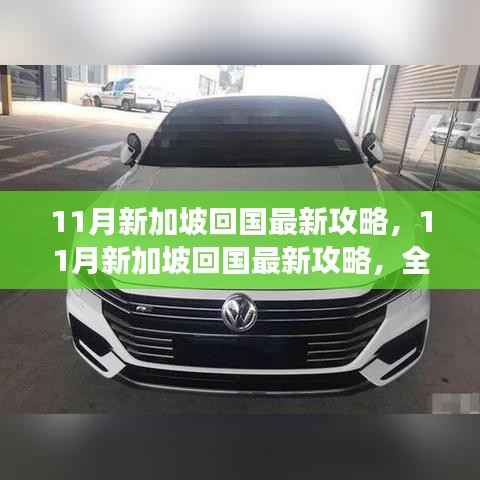 全面解读,11月新加坡回国攻略,特性、体验与竞品对比分析