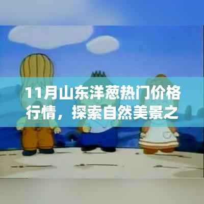 山东洋葱行情揭秘,探索自然美景与心灵宁静的奇妙旅程(11月热门价格行情)