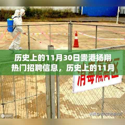 贵港扬翔热门招聘信息全解析,历史上的11月30日回顾与评测