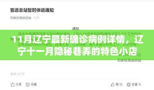 辽宁十一月隐秘巷弄的独特风味与故事,疫情下的小店风采及最新确诊病例详情