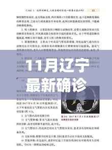 辽宁十一月隐秘巷弄的独特风味与故事,疫情下的小店风采及最新确诊病例详情