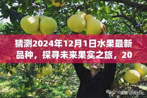 探寻未来果实之旅,揭秘2024年神秘水果新纪元与内心宁静之旅的启示