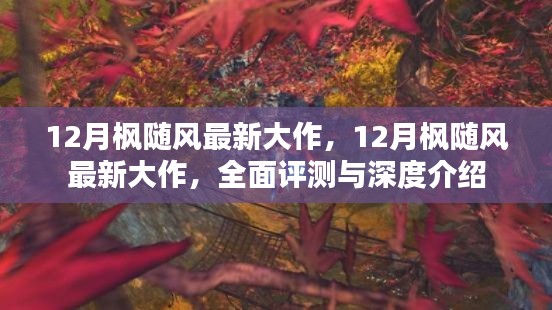 12月枫随风最新大作，全面评测与深度介绍