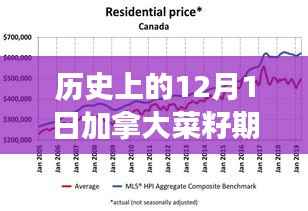 揭秘历史中的今日，深度解读十二月一日加拿大菜籽期货市场最新动态与最新价