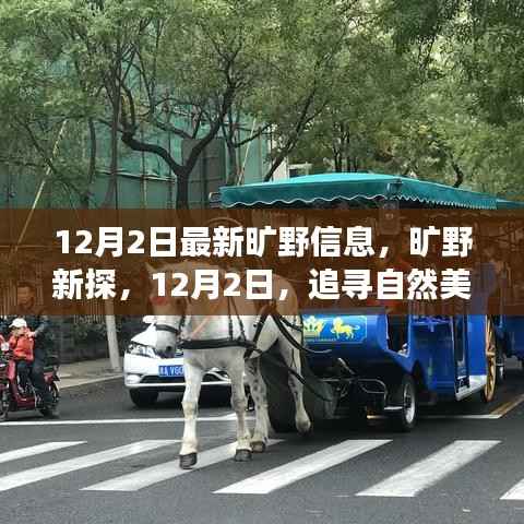 12月2日旷野新探，追寻自然美景，探寻内心宁静之旅