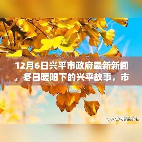 兴平市政府最新动态，冬日暖阳下的故事与情感纽带
