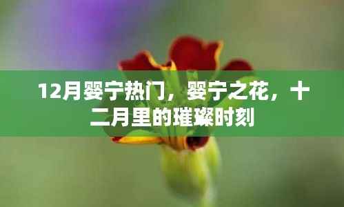 江南烟雨断桥殇 第12页