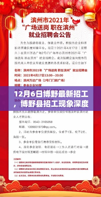 博野县招工热潮深度解读,聚焦最新招工现象与趋势分析(12月6日)