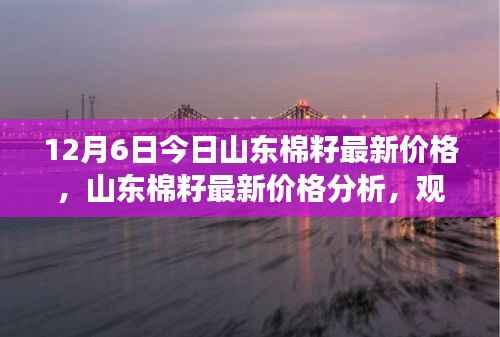 山东棉籽最新价格解析,观点与立场分享(12月6日)
