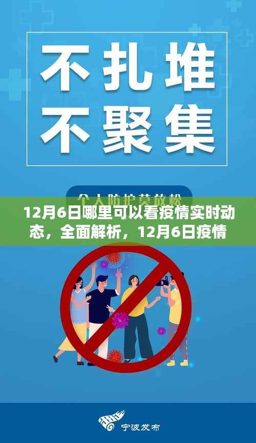 12月6日疫情实时动态全面解析及查看平台