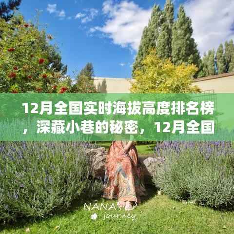 揭秘深藏小巷的特色小店,12月全国实时海拔高度排名榜探秘