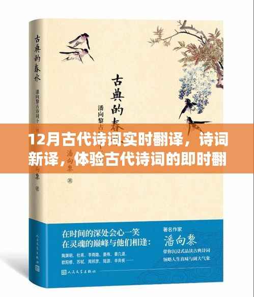 体验即时翻译之旅，古代诗词新译与实时解读的十二月之旅