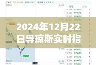 导琼斯实时指数,未来展望与深度解析(2024年12月22日视角)