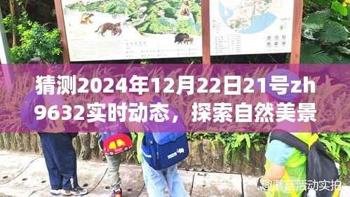 探索自然美景之旅,预测ZH9632航班在冬至之夜的奇妙动态(2024年12月22日)