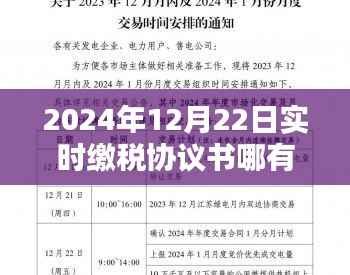 关于实时缴税协议书的全面评测与介绍，寻找最佳协议，针对2024年12月22日的详细解析