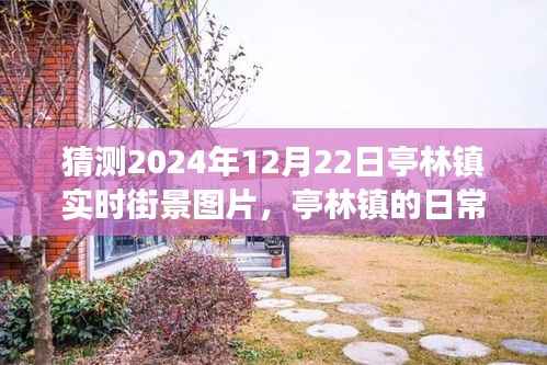 亭林镇未来街景猜想,2024年温馨日常奇遇纪实图片之旅