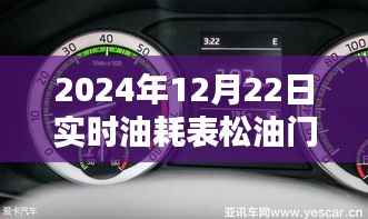 革命性智能油耗表,响应迅速,助力绿色出行新纪元