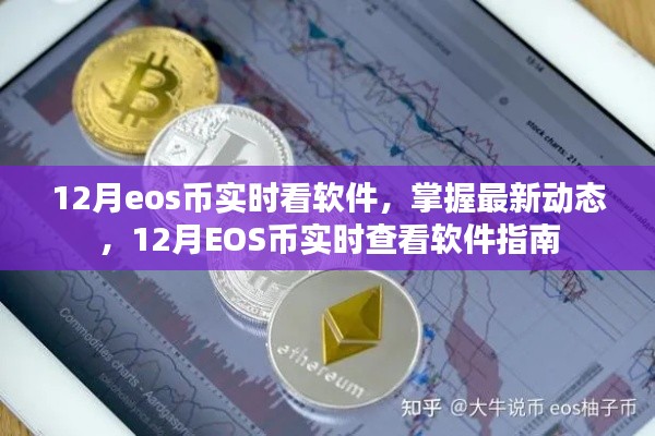 12月EOS币实时查看软件,掌握最新动态的操作指南
