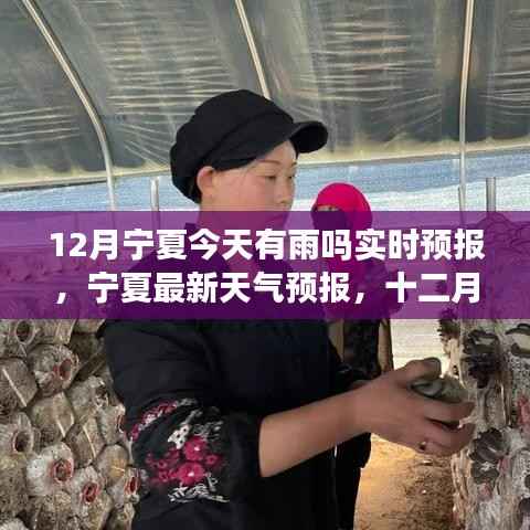 宁夏十二月实时天气预报，雨纷纷来袭，出行必备雨伞