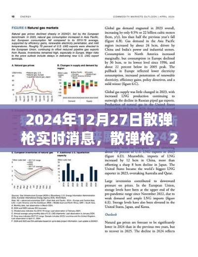 2024年12月27日散弹枪实时消息,枪支动态与深远影响