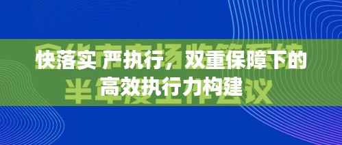 快落实 严执行,双重保障下的高效执行力构建