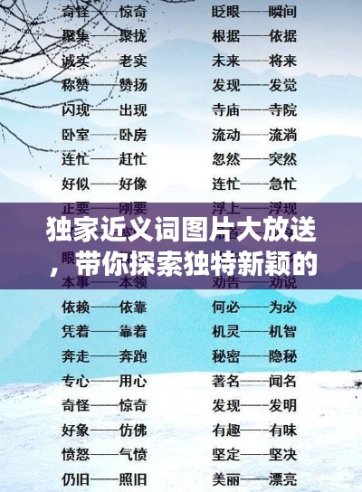 独家近义词图片大放送，带你探索独特新颖的视觉盛宴