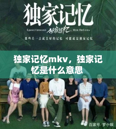 独家记忆mkv，独家记忆是什么意思 