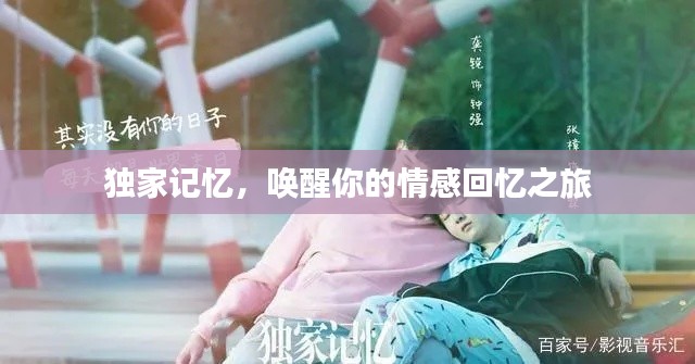 独家记忆,唤醒你的情感回忆之旅