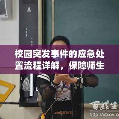 校园突发事件的应急处置流程详解,保障师生安全的关键步骤!