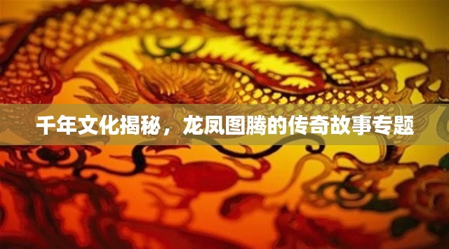 千年文化揭秘,龙凤图腾的传奇故事专题