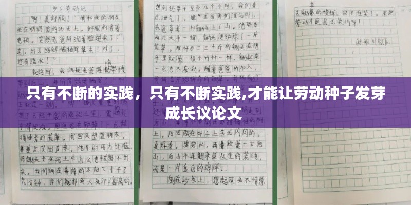 只有不断的实践,只有不断实践,才能让劳动种子发芽成长议论文