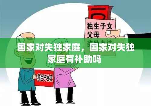 国家对失独家庭,国家对失独家庭有补助吗