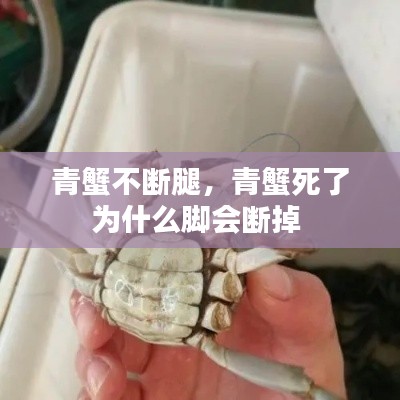 青蟹不断腿，青蟹死了为什么脚会断掉 
