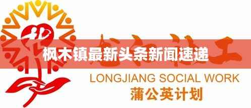 枫木镇最新头条新闻速递