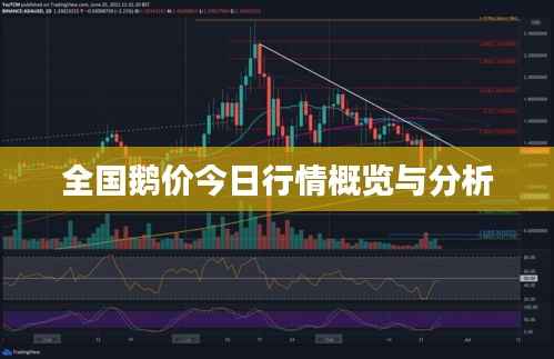 全国鹅价今日行情概览与分析