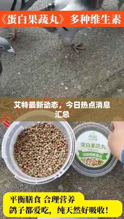 艾特最新动态，今日热点消息汇总