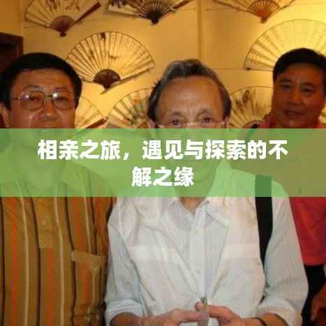相亲之旅,遇见与探索的不解之缘