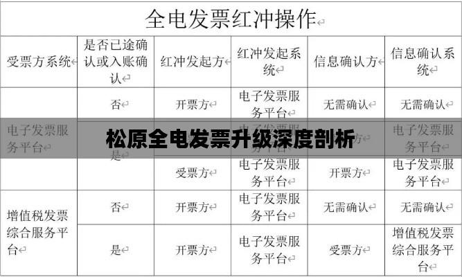 松原全电发票升级深度剖析
