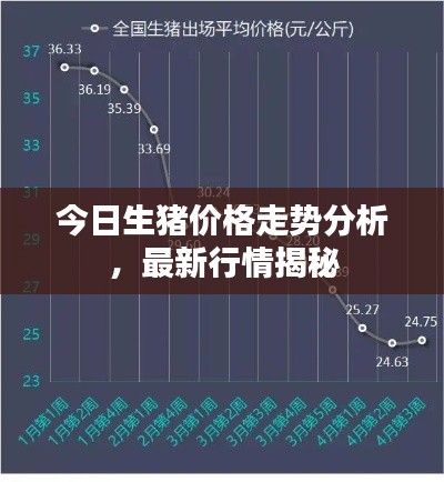 今日生猪价格走势分析,最新行情揭秘