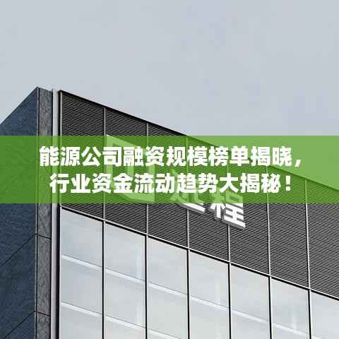 能源公司融资规模榜单揭晓，行业资金流动趋势大揭秘！