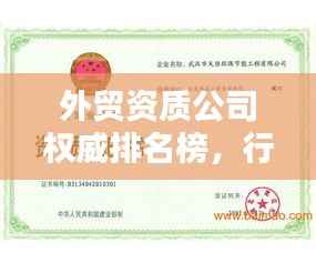 外贸资质公司权威排名榜,行业巨头实力与影响力的揭秘