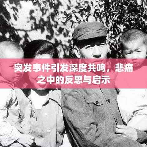 突发事件引发深度共鸣,悲痛之中的反思与启示