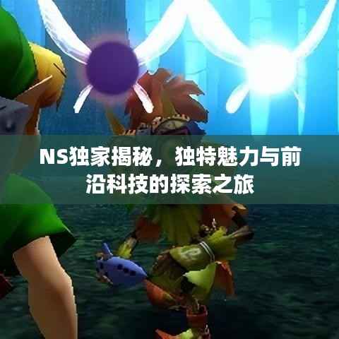 NS独家揭秘,独特魅力与前沿科技的探索之旅