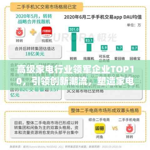 高级家电行业领军企业TOP10,引领创新潮流,塑造家电未来