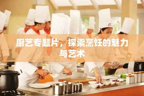 厨艺专题片,探索烹饪的魅力与艺术