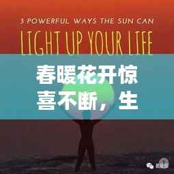 春暖花开惊喜不断，生命的活力与喜悦瞬间视频记录